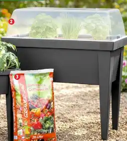 Thomas Philipps Hochbeet Angebot