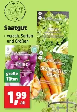 Thomas Philipps Saatgut Angebot