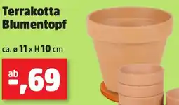Thomas Philipps Terrakotta Blumentopf Angebot