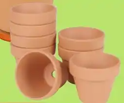 Thomas Philipps Mini-Blumentöpfe Angebot