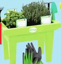 Thomas Philipps Kinder-Hochbeet Angebot