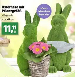 Thomas Philipps Osterhase mit Pflanzgefäß Angebot