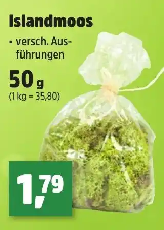 Thomas Philipps Islandmoos Angebot