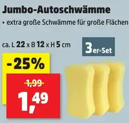Thomas Philipps Jumbo-Autoschwämme 3er-Set Angebot