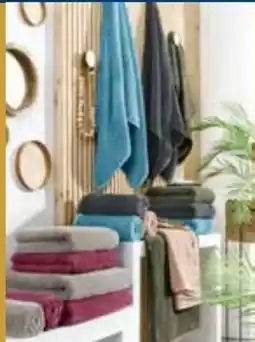 Möbel Inhofer Vossen Frottierserie Angebot