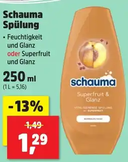 Thomas Philipps Schauma Spülung Angebot