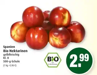 Markant Spanien Bio Nektarinen 500g Angebot