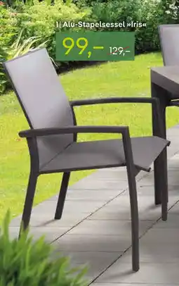 Pflanzen Kölle Alu-stapelsessel iris Angebot