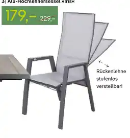Pflanzen Kölle Alu-hochlehnersessel iris Angebot