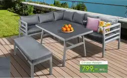 Pflanzen Kölle Aluminiumgruppe raleigh Angebot