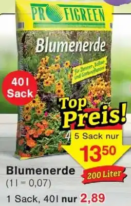 Wiglo Wunderland Blumenerde Angebot