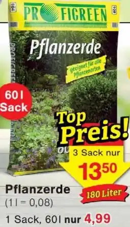 Wiglo Wunderland Pflanzerde Angebot
