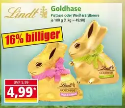 Norma Goldhase Angebot