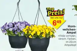 Wiglo Wunderland Hornveilchen Ampel Angebot