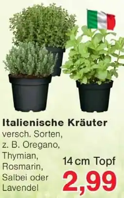 Wiglo Wunderland Italienische Kräuter Angebot