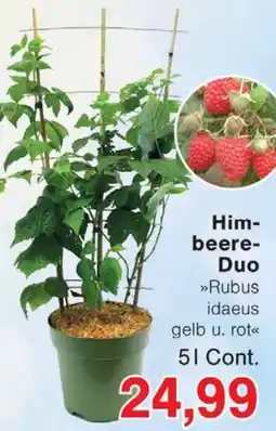 Wiglo Wunderland Himbeere Duo Angebot