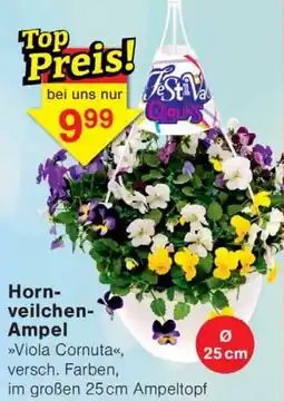 Wiglo Wunderland Hornveilchen Ampel Angebot