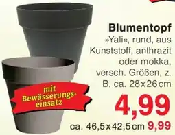 Wiglo Wunderland Blumentopf Angebot