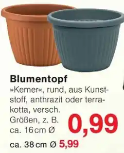 Wiglo Wunderland Blumentopf Angebot