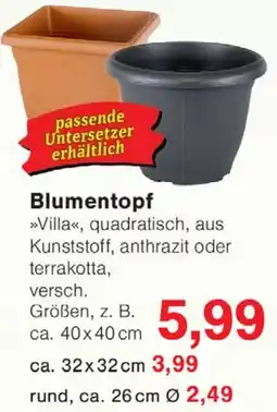Wiglo Wunderland Blumentopf Angebot