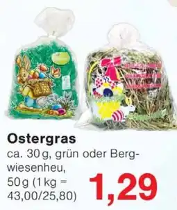 Wiglo Wunderland Ostergras Angebot