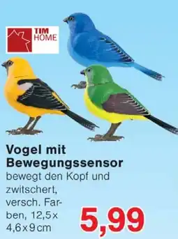 Wiglo Wunderland TIM HOME Vogel mit Bewegungssensor Angebot