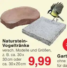 Wiglo Wunderland Naturstein Vogeltränke Angebot