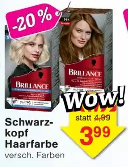 Wiglo Wunderland Schwarzkopf Haarfarbe Angebot