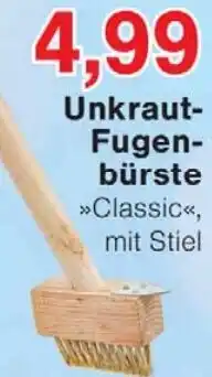 Wiglo Wunderland Unkraut Fugenbürste Angebot