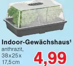 Wiglo Wunderland Indoor-Gewächshaus Angebot