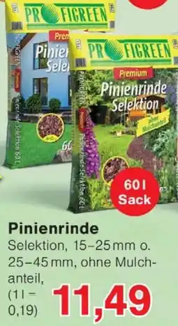 Wiglo Wunderland Pinienrinde Angebot