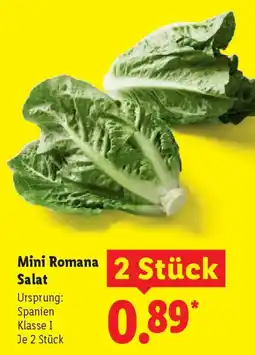 Lidl Mini Romana Salat Angebot