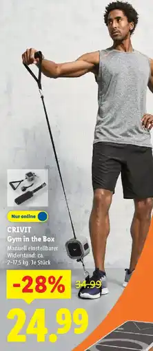 Lidl CRIVIT Gym in the Box Angebot