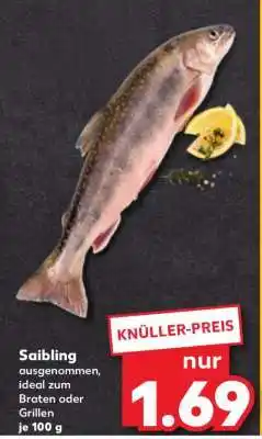Kaufland Saibling Angebot