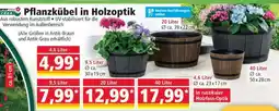 Norma Pflanzkübel in Holzoptik Angebot