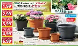 Norma Blumentopf „Cilindro“ oder Pflanzgefäß „Sydney“ Angebot