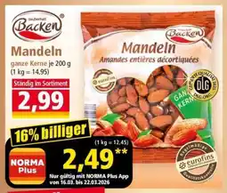 Norma Mandeln Angebot
