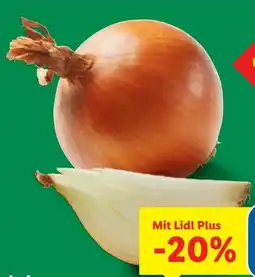 Lidl Zwiebeln Angebot
