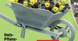 Thomas Philipps Holz-Pflanzschubkarre Angebot