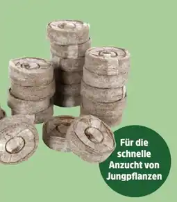 Thomas Philipps Kokos-Quelltabs Angebot