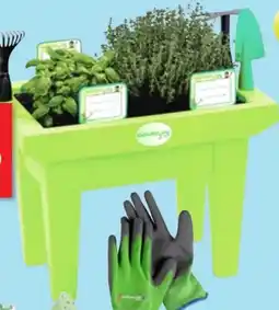 Thomas Philipps Hochbeet für Kinder Angebot