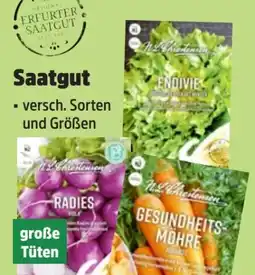 Thomas Philipps N.L.Chrestensen Erfurter Saatgut Angebot