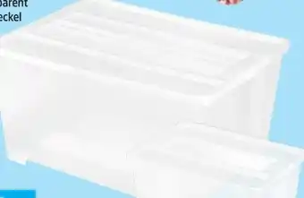 Thomas Philipps Klarsichtboxen Angebot