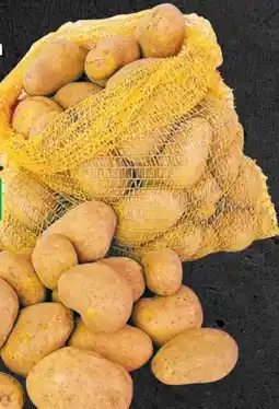 Thomas Philipps Speisekartoffeln XXL Angebot