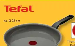 Lidl Tefal Pfanne Resistal Grey 28 cm Angebot