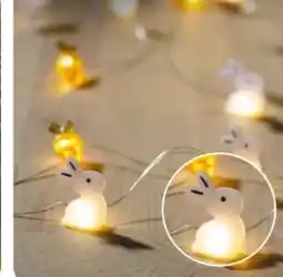 Rossmann Rossmann Ideenwelt Micro-LED Drahtlichterkette Angebot