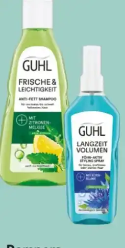Rossmann Guhl Shampoo Angebot