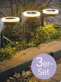 Rossmann Rossmann Ideenwelt Solar-Wegeleuchten Angebot