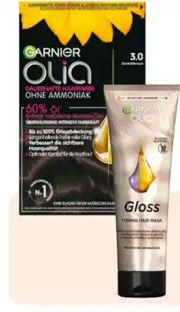 Rossmann Garnier Olia Coloration Angebot