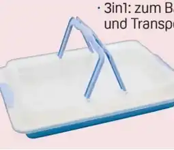Rossmann Rossmann Ideenwelt Backblech Angebot